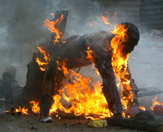 Article : Flagrant délire