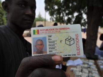 Article : S&eacute;n&eacute;gal: l&rsquo;embarras du choix