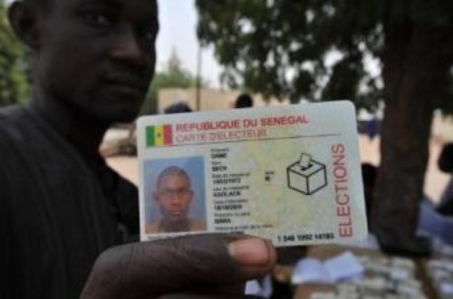 Article : Sénégal: l’embarras du choix