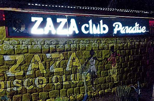 Article : Le Zaza Club et sa biodiversité nocturne