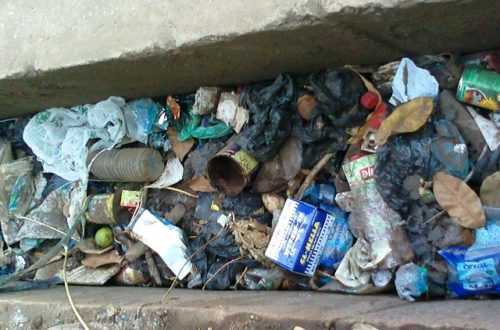 Article : Les blogueurs de Conakry parlent des ordures