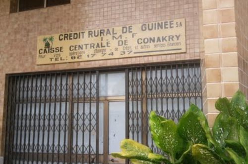 Article : Les institutions de micro-finance en Guinée