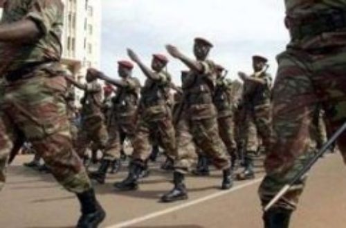 Article : Mutinerie au Burkina : pour comprendre la crise