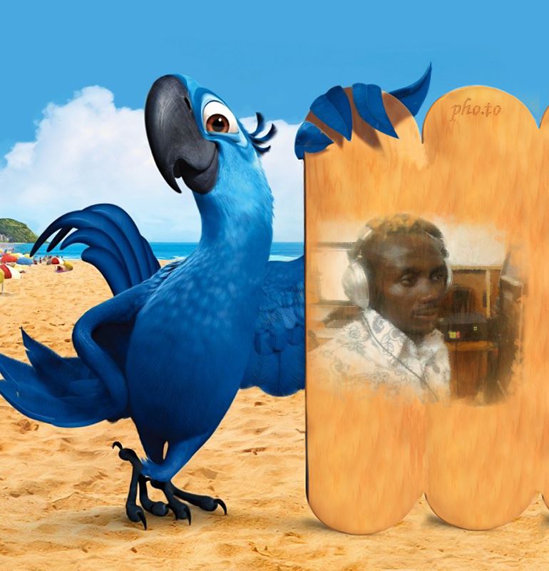 Article : Moi et l’Internet : le bilan après sept ans