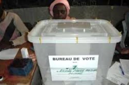 Article : Mali : des élections à tout prix maintenant !?