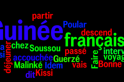 Article : Top 10 des fautes de français qui collent les Guinéens à la peau