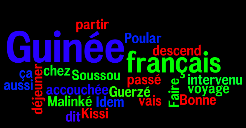 Article : Top 10 des fautes de français qui collent les Guinéens à la peau