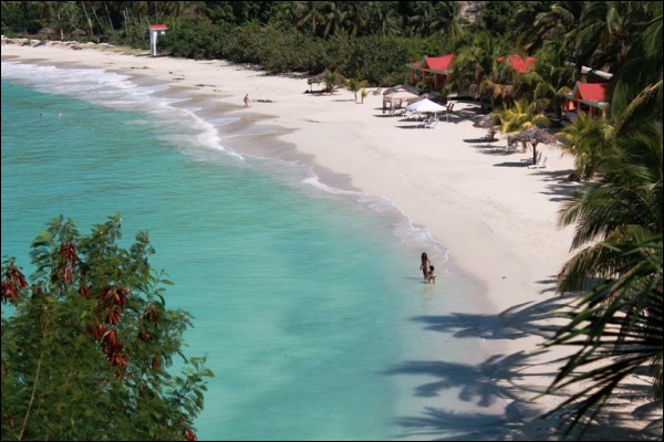 Article : Top 10 des raisons pour visiter Haïti