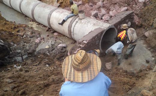 Article : Je suis chinois et je consomme tout