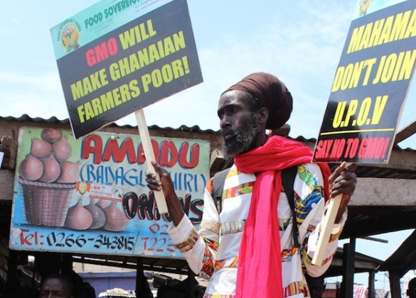Article : Des anti-OGM manifestent à Accra et tentent de lancer un mouvement durable