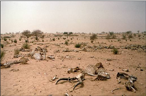 Article : LE SAHEL : Territoire hostile à la vie ?