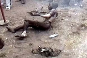 Article : Bienvenue au royaume du Talion