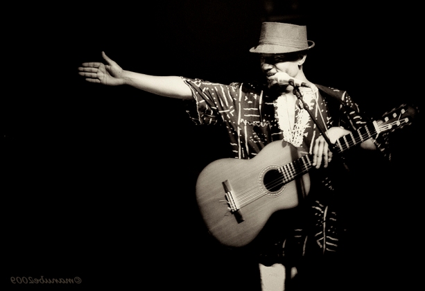 Article : Fortun&eacute; troubadour