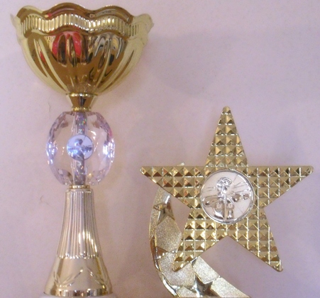 Article : Les Politicos awards 2013