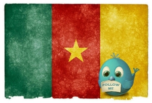 Article : La communaut&eacute; Twitter au Cameroun, vous connaissez?