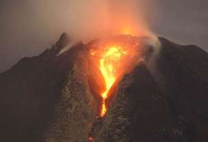 Article : Quand la nature reprend ses droits