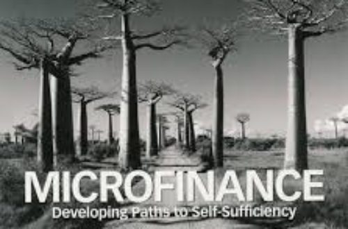 Article : La microfinance: Une solution de financement pour l’Afrique