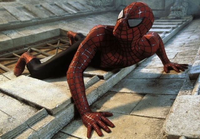 Article : La vantardise de l&rsquo;araign&eacute;e-paon