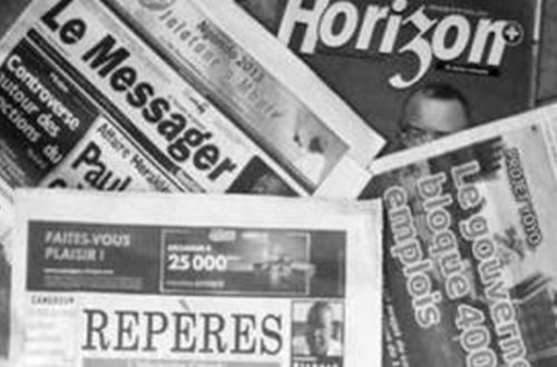 Article : Chronique de la situation de la presse écrite camerounaise (suite)