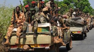 Article : Centrafrique : mon retour en « enfer »