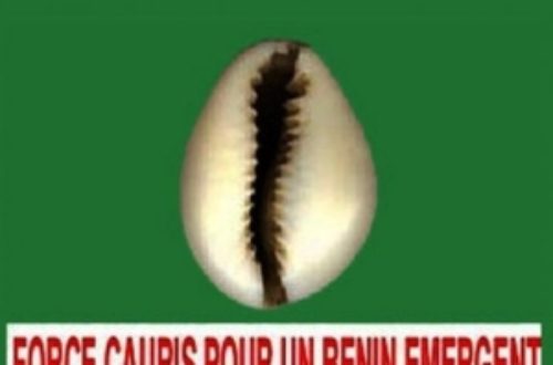Article : Bénin : Top 10 du vocabulaire politique sous Boni Yayi…