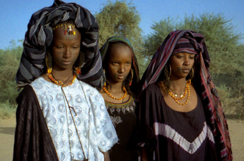 Article : En Afrique, polygames nous sommes, polygames resterons-nous ad vitam ?