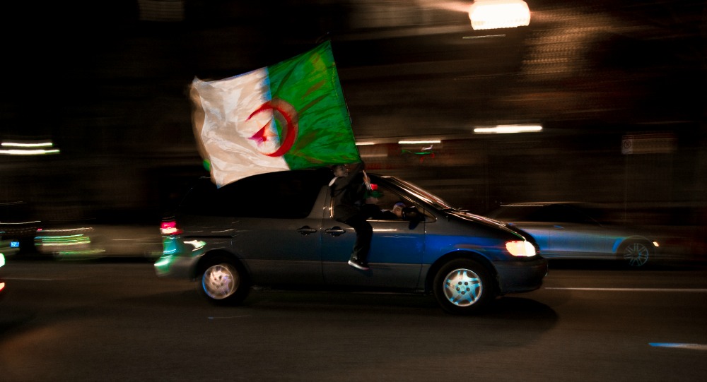 Article : Des Verts et des pas m&ucirc;rs