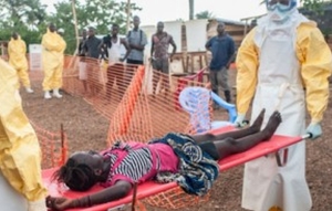 Article : Fi&egrave;vre Ebola, vers un exode continental ?