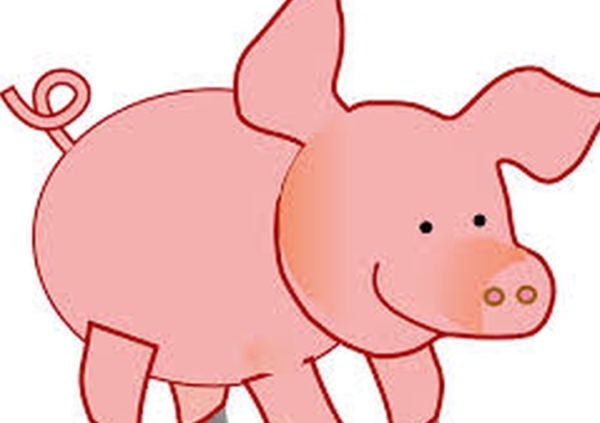 Article : Alerte au virus Ebola : les bouchers de Bamenda paniquent