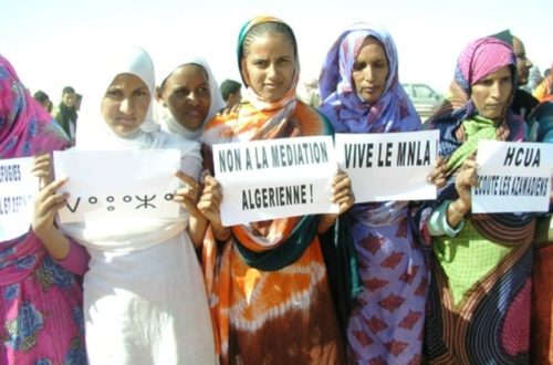 Article : Mali : mouvements armés-société civile, deux voix … deux postures ?