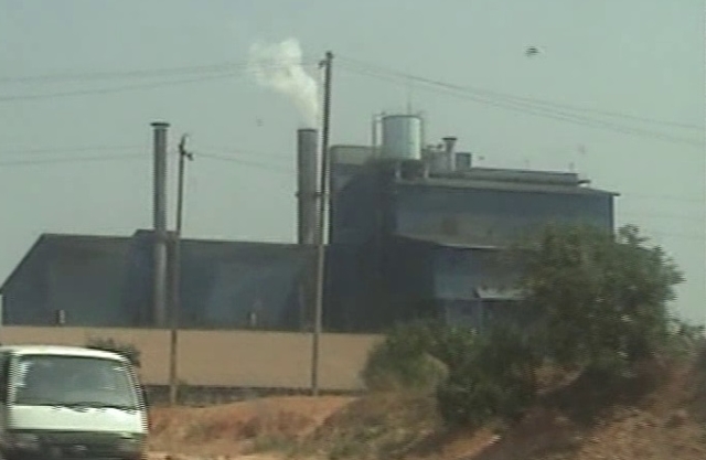 Article : RDC : la seconde vie des Belges