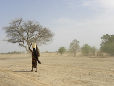 Article : Nous sommes tous in&eacute;gaux!
