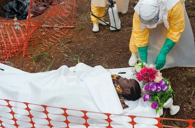 Article : Ebola : missile &agrave; t&ecirc;te chercheuse ?