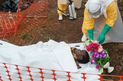 Article : Ebola : missile à tête chercheuse ?