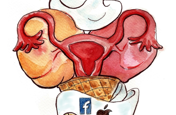 Article : Ovocytes glac&eacute;s