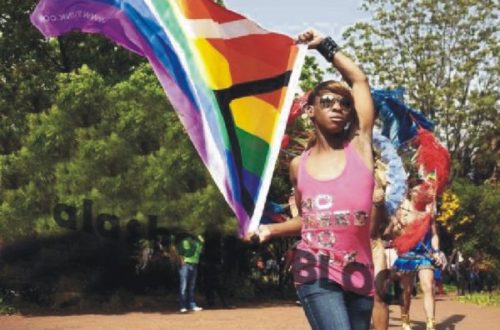 Article : Logique de la défense et de la promotion des droits des homosexuels
