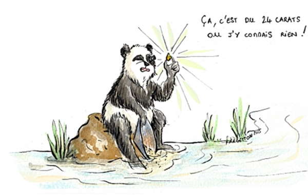 Article : Mondoblog en 2014 : les p&eacute;pites