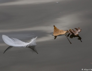 Article : Territoire occup&eacute; (revisit&eacute; par une lectrice)