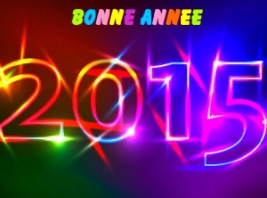 Article : EN 2015, pour mes lecteurs : je souhaite ceci…