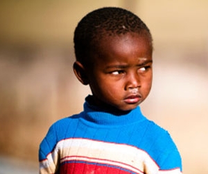 Article : NOAH (poème par P.A)