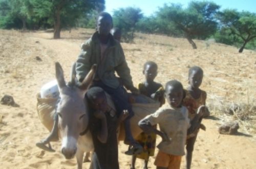 Article : Niger : ces mouvements migratoires qui vident les villages