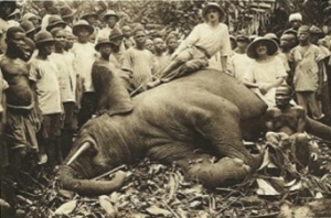 Article : L&rsquo;image du racisme