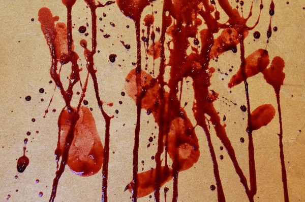 Article : Coup de gueule : Dieu a-t-il vraiment quitté l’Afrique ?