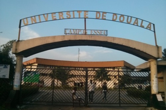 Article : Les vrais dangers de l&rsquo;universit&eacute;