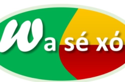 Article : Wasexo : le hashtag « made in Bénin » est arrivé
