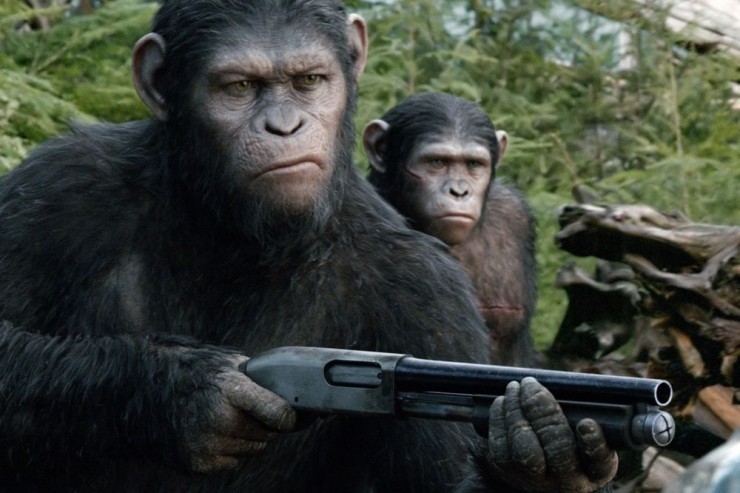 Article : L&rsquo;arm&eacute;