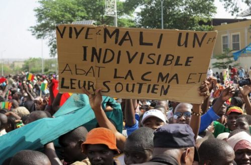 Article : Mali, vox populi, populi stupidus ?