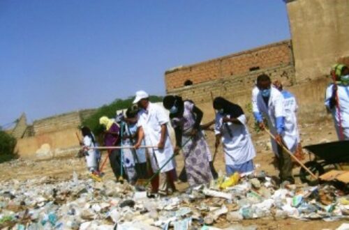 Article : Nouakchott : une insalubrité effarante