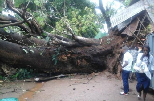 Article : Conakry : quand arrive la pluie, les dégâts s’annoncent