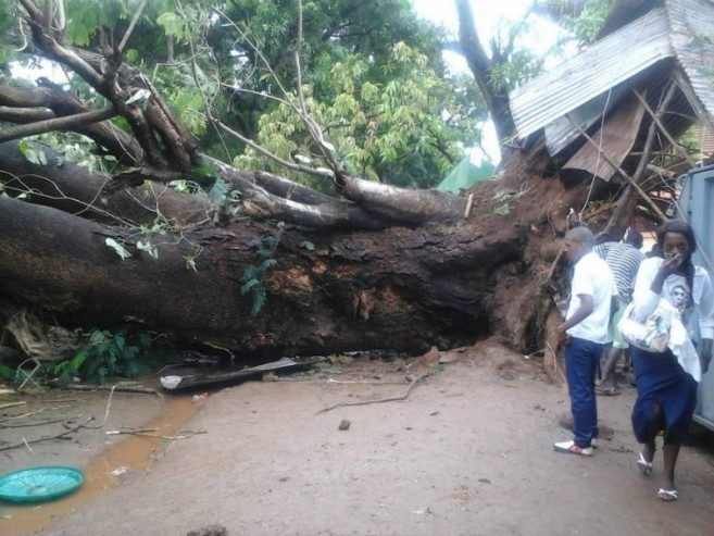 Article : Conakry : quand arrive la pluie, les dégâts s’annoncent